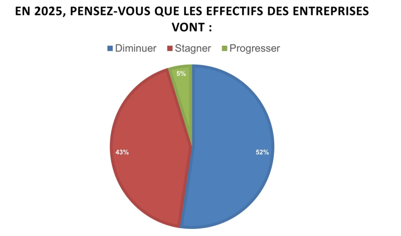 Enquête AIMCC effectifs 2025