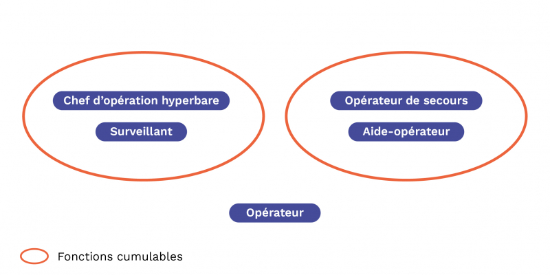 Les fonctions cumulables dans une équipe lors d