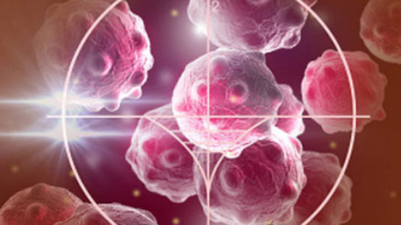 Amiante: 1100 nouveaux cas de mésothéliomes recensés chaque année