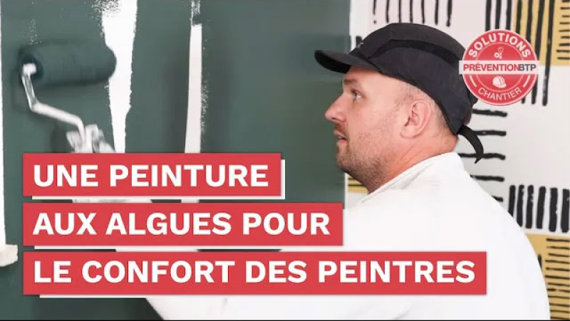 Peintures aux algues : moins de risques, plus d’écologie