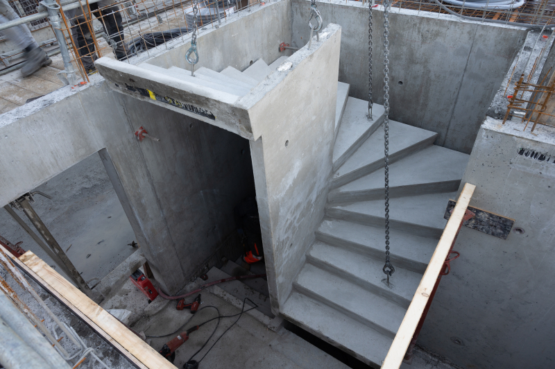 STAM-CAMPAGNE PHOTO-L-MARECHAUX-18-19_11_2020