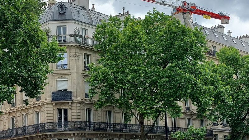 Alimentation électrique des grues à tour, une nouveauté très RSE