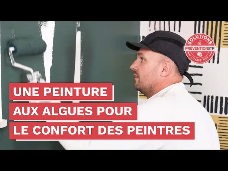 Peintures aux algues : moins de risques, plus d’écologie