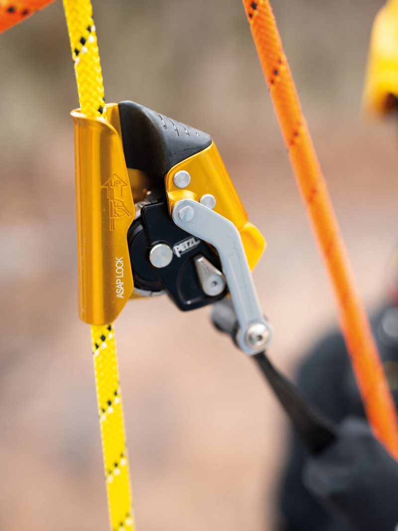 Equipements - - asap lock petlz 2