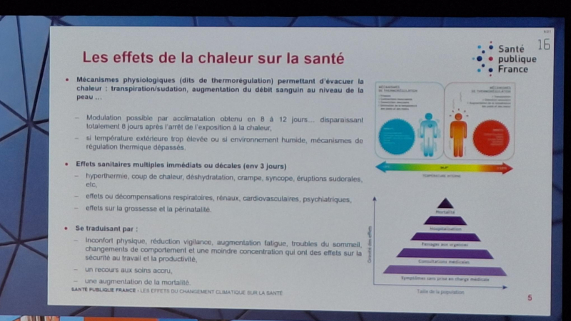 ACTU fortes chaleurs congrès de santé au travail 2026