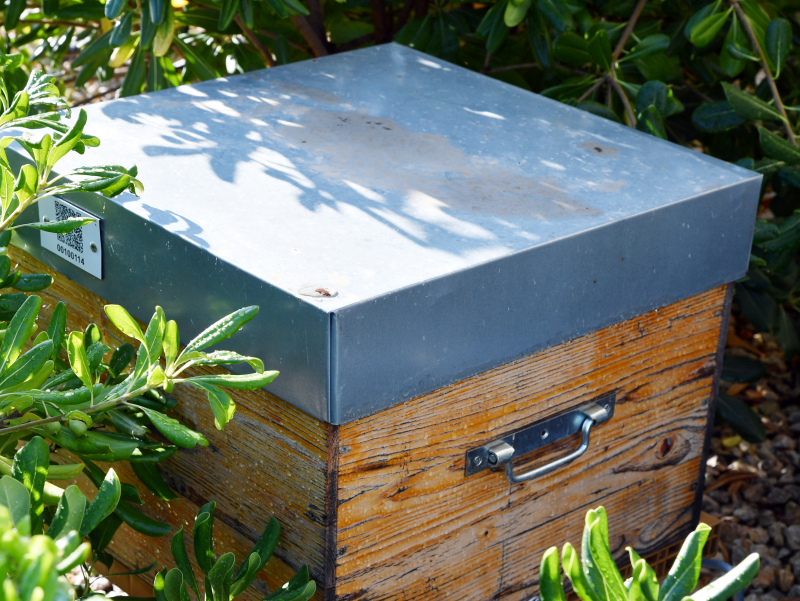 Amperiance : une énergie au service du bien-être au travail