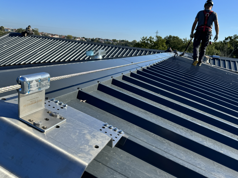 Système de ligne de vie continue