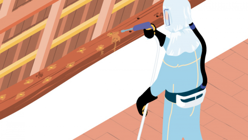 Traitement curatif et préventif des charpentes bois en place : réaliser toutes les étapes en sécurité