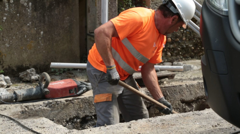 Il est fréquent de rencontrer des rongeurs lors des travaux d