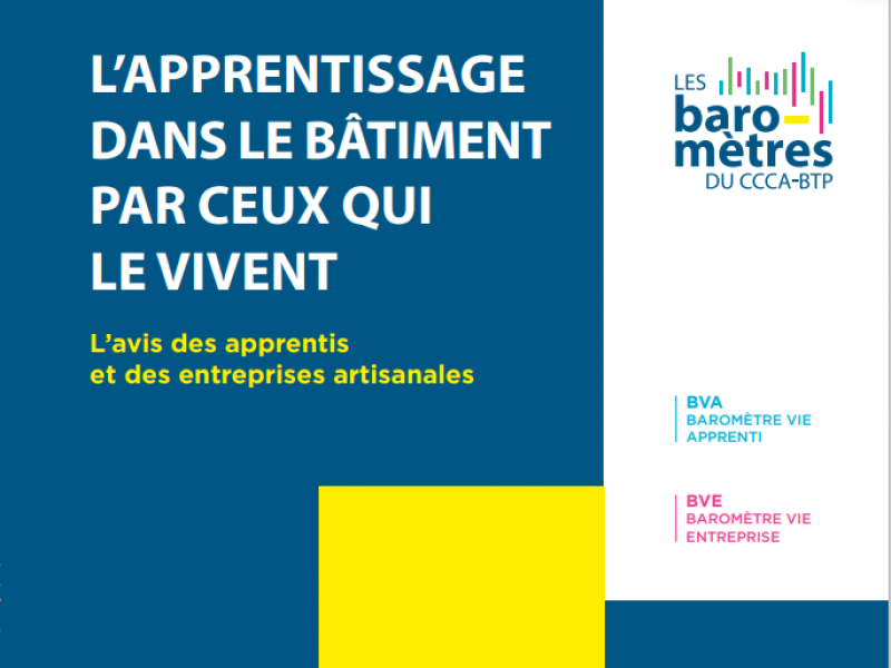 Les artisans du bâtiment s’engagent dans l’apprentissage des jeunes générations