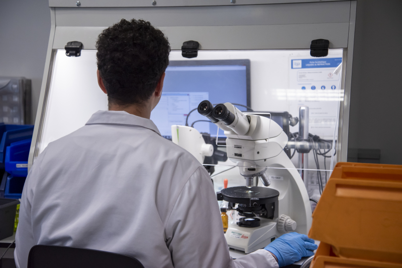 Le dispositif REP Bâtiment