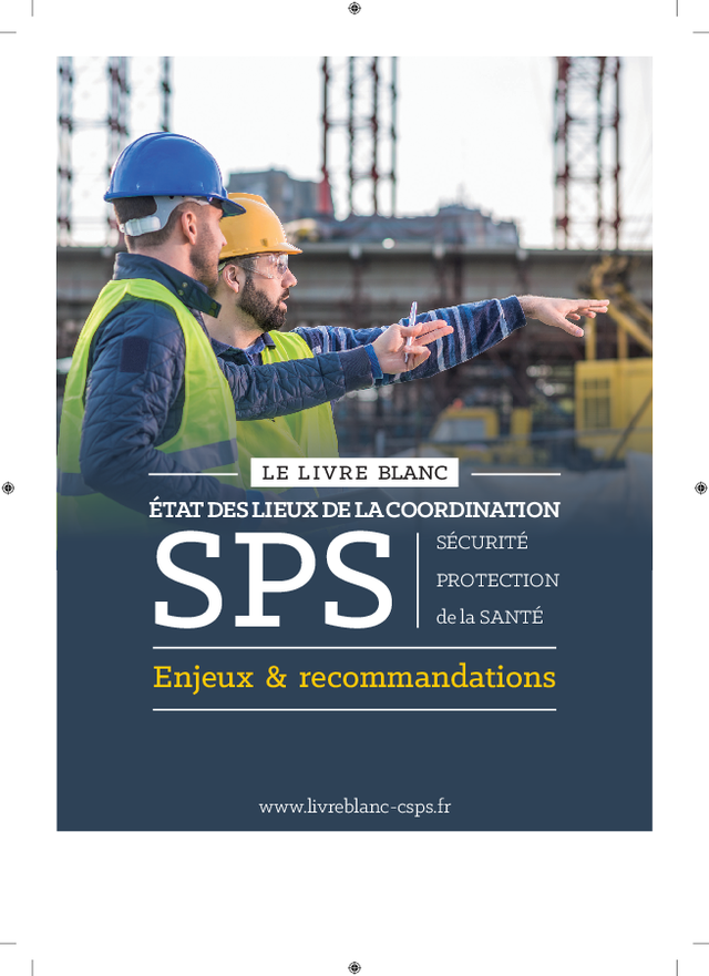 Etat des lieux de la coordination SPS - Enjeux et recommandations