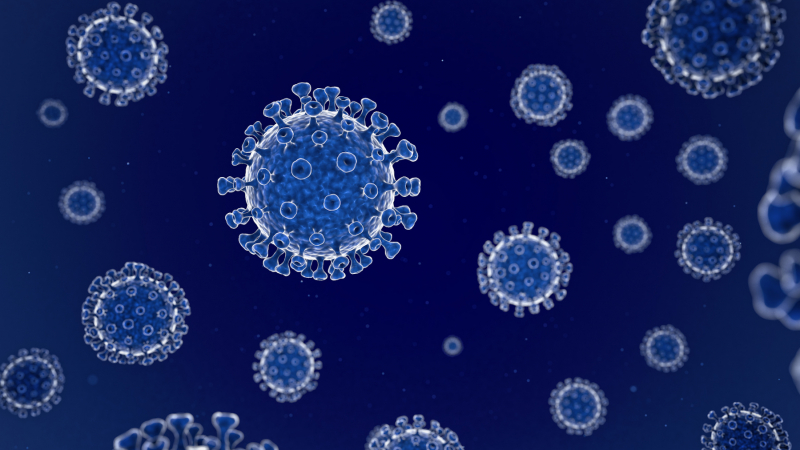 Le Covid-19 fait-il partie des risques biologiques ?