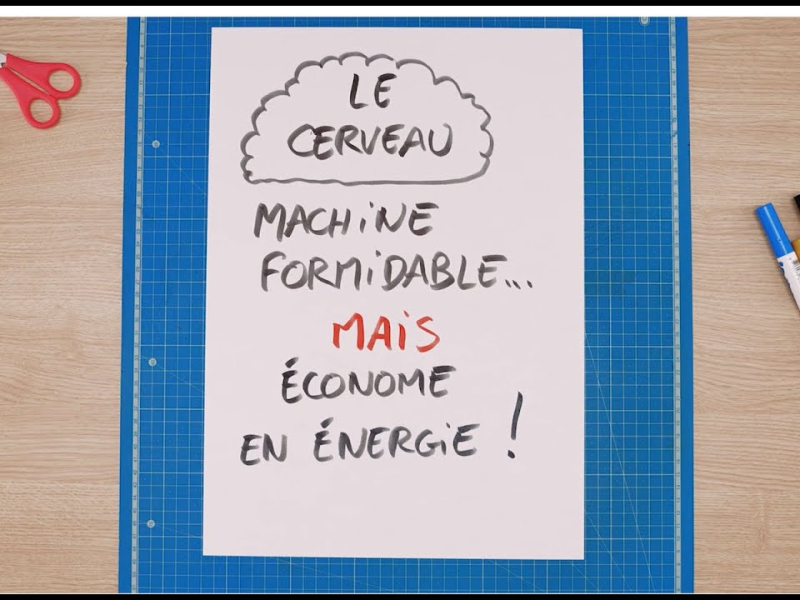 Pourquoi notre cerveau nous met en danger au travail - Erreurs humaines et prévention